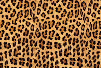 Seamless leopard fur, jaguar texture, animal print, African animal pattern. - obrazy, fototapety, plakaty