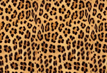 Foto op Plexiglas Seamless leopard fur, jaguar texture, animal print, African animal pattern. © kenan