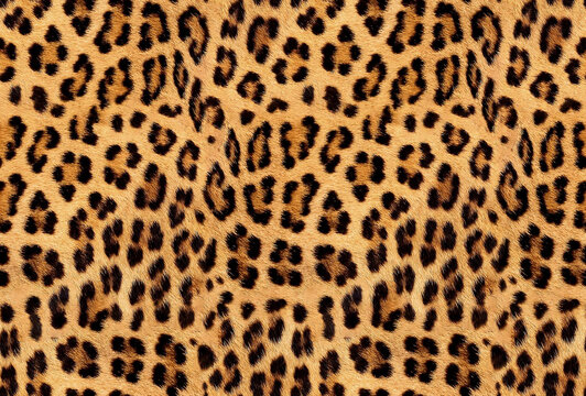 Seamless leopard fur, jaguar texture, animal print, African animal pattern. © kenan