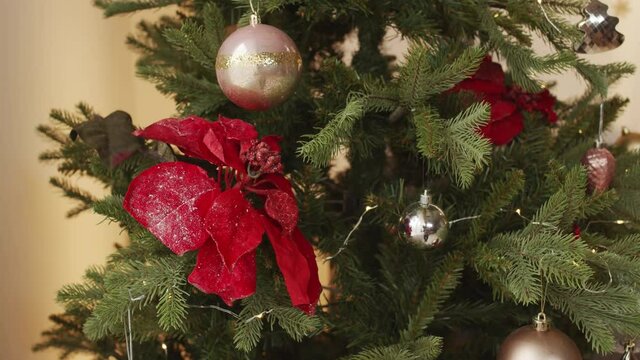 Handheld close up of Christmas tree decorated with baubles and red artificial poinsettia flowers