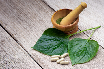 Betel leaf (Piper sarmentosum, Wildbetal leafbush) with herbal capsules pill