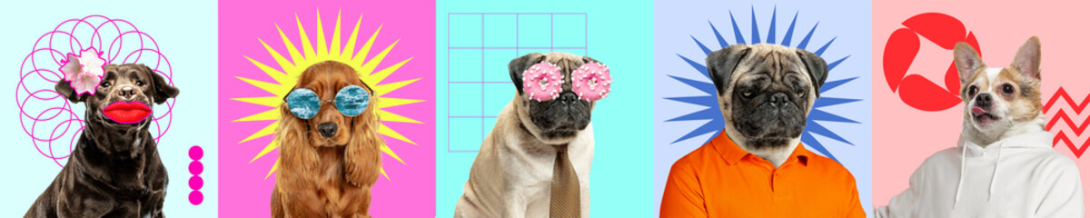 Contemporary art collage with cute purebred dogs and trendy colored backgrounds with geometric...
