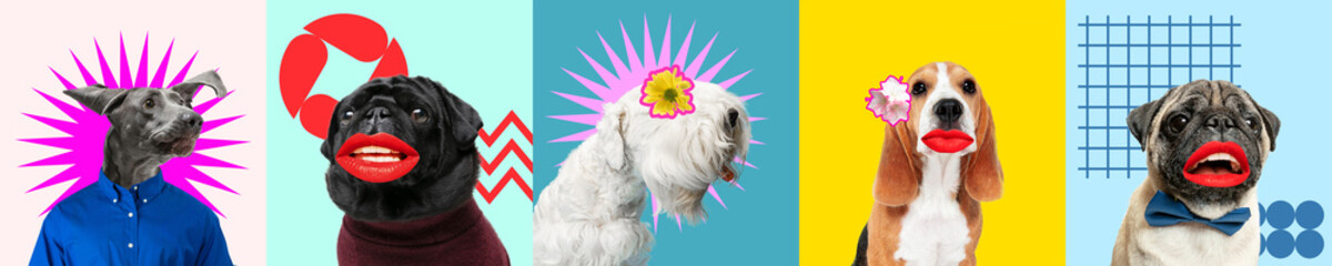 Contemporary art collage with cute purebred dogs and trendy colored backgrounds with geometric...
