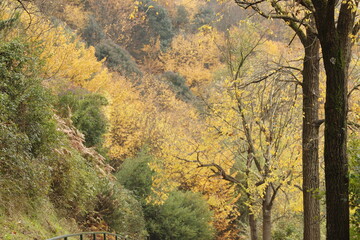 Autumn in the mountains