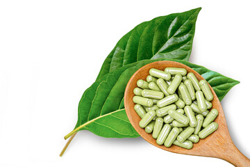 Kratom leaves (Mitragyna speciosa) with kratom powder capsule isolated on white background. Top...