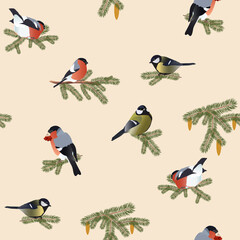 Seamless pattern with bullfinches and titmouses on spruce branches on a beige background