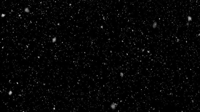 Natural falling snow, PNG codec with alpha channel - transparent background. Seamless loop