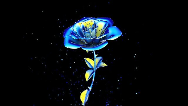 3D motion design of an opening flower