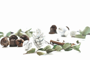 白い松ぼっくりと木の実