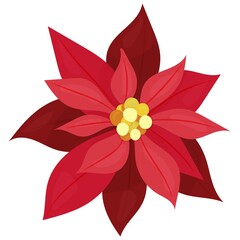 red bright poinsettia flower, christmas star - christmas children s picture, vector illustration, flat style, houseplant