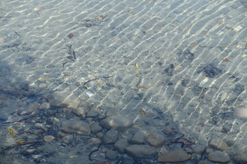water on the beach
