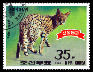  Postage stamp.  Felis Serval.