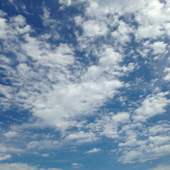 Obraz premium ひつじ雲