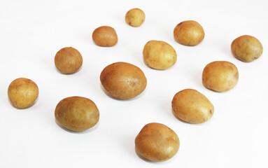 round fruits of fresh yellow potatoes