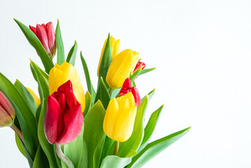 Bunch of red and yellow tulips on white background