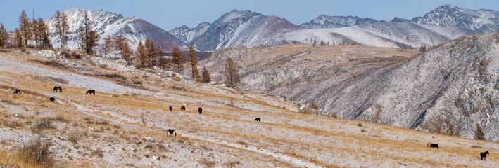snow covered mountains