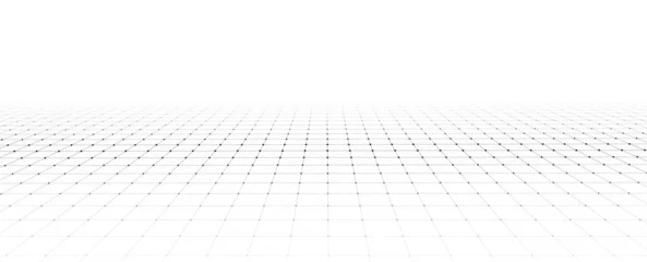 Foto op Canvas Wireframe landscape. Vector perspective grid. Digital space. Mesh on a white background. © Flow 37