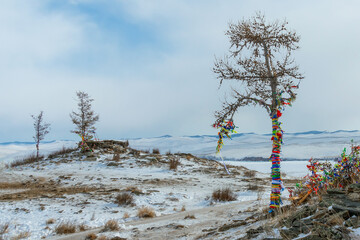 Three trees are decorated with colorful ribbons at the ritual site at the top of Ogoy Island. Winter landscape. View of the mountains and frozen Lake Baikal on a winter day