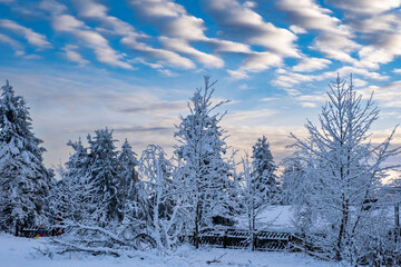 View of a snow-covered landscape on the Großer Feldberg in Taunus / Germany
