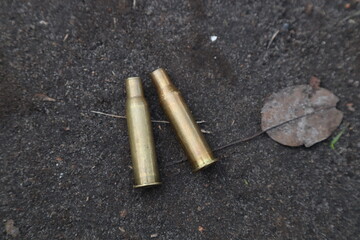 Spent cartridges from the carbine on the ground