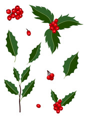 Christmas holly. Set of vector illustrations for graphic design and web design