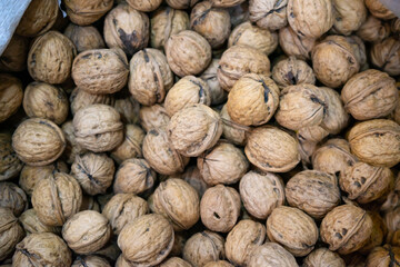 Dried walnuts in nutshells large quantities