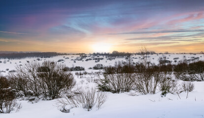 Winter Meadow Landscape With Snow