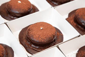 Molten chocolate lava cake with dark chocolate sauce