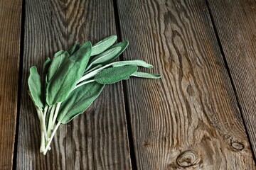 Fresh sage (or salvia officinalis) leaves on a wooden background. Use of beneficial herbs (Garden...