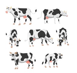 Set of Holstein cows for livestock farm in flat vector illustration isolated