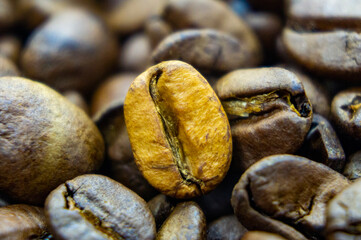 Texture of coffee beans. Brown gold. Macro photography