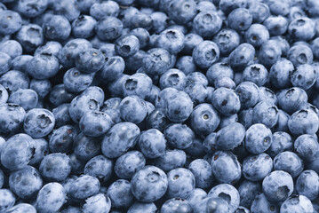 Fresh blueberry background. Texture blueberry berries close up.