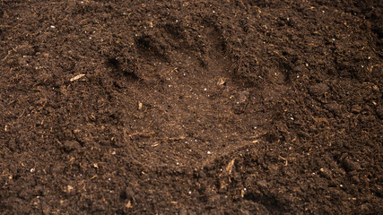 Woman hand trace on a ground.