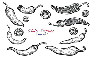 Vector sketch illustration of chili pepper set drawing isolated on white. Whole and cut slices. Engraved style. Ink. natural business. Vintage, retro object for menu, label, recipe, product packaging - obrazy, fototapety, plakaty