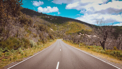 Road in the Wilsons Promontory National Park in Australia