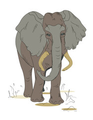 elephant, Africa, wild animals. Illustration, print