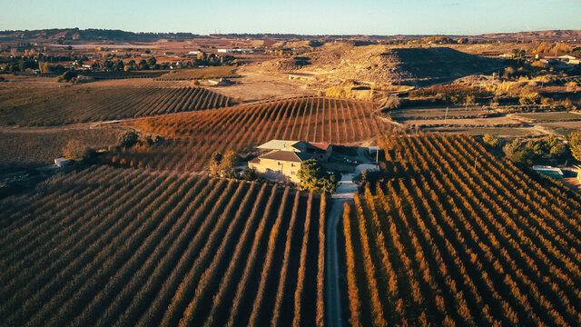 House surrounded by field in autumn