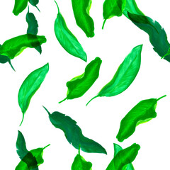 Organic Banana Print. Green Seamless Leaf. Natural Tropical Leaf. Pattern Wallpaper. Watercolor Palm. Floral Background. Summer Textile.Botanical Background.