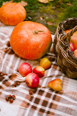 Naklejka na ściany i meble Autumn harvest with pumpkin, apples and nuts