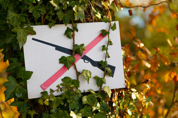 Obraz na płótnie Canvas Señal de prohibición de caza (ilustración de una escopeta tachada) en el tronco de un pino en un bosque con colores de otoño