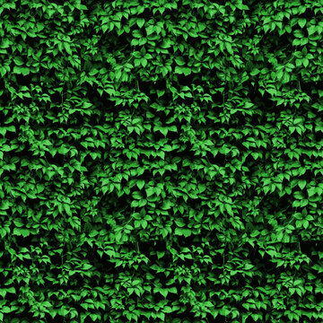 seamless green ivy background. seamless grean leaves pattern