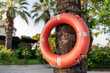 a lifebuoy on a tree, in a hotel by the pool. Safe bathing of children and adults at the sea or...