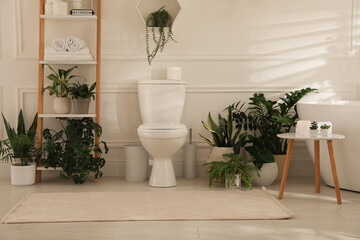 Fototapeta na wymiar Stylish bathroom interior with white toilet bowl, tub green houseplants