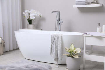 White tub and beautiful plants in bathroom, Interior design