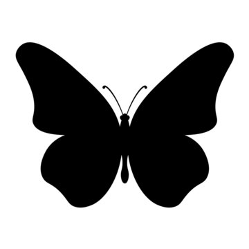 Butterfly black icon. Clipart image isolated on white background