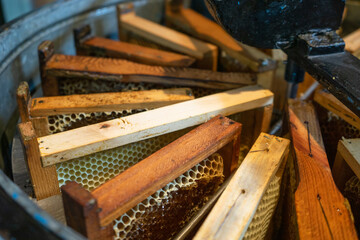 the process of collecting honey, printing a honeycomb in a frame and pumping honey