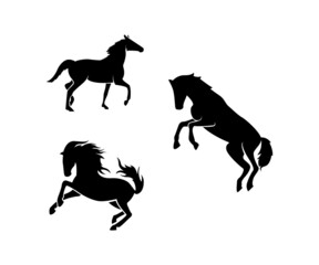 Fototapeta na wymiar horse and rider silhouettes, horse silhouette vector, set illustration of horse, silhouette of animal