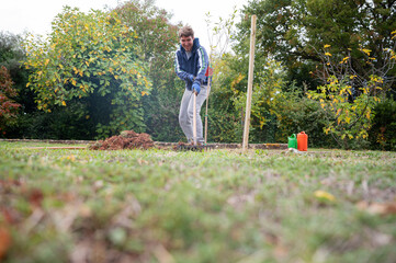 Male gardener using rakes to finish up planting new olive tree