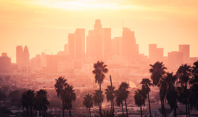 Los Angeles downtown with palm trees during sunset. Los Angeles, California, USA. - obrazy, fototapety, plakaty