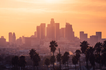 Los Angeles downtown with palm trees during sunset. Los Angeles, California, USA. - 472050996